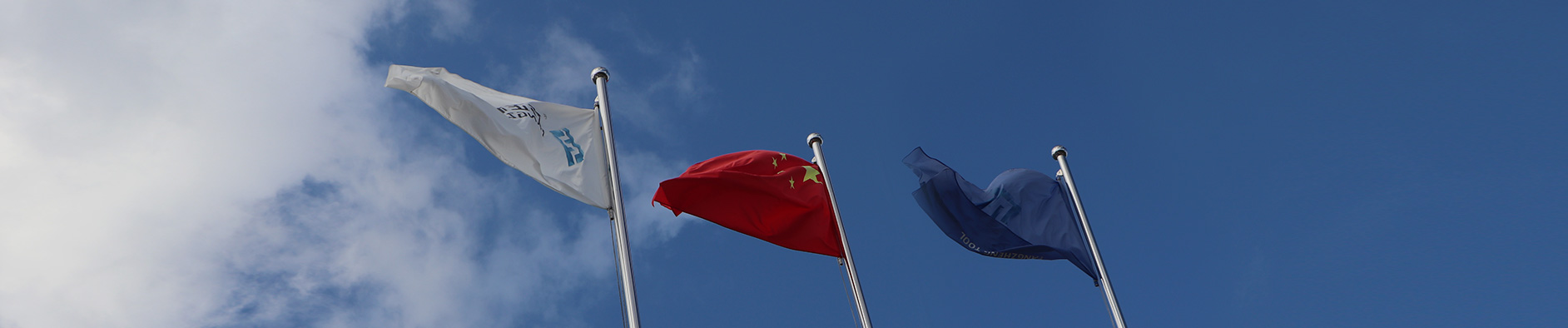 Colocaci&oacute;n de desarrollo