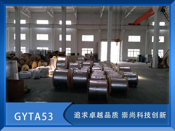 GYTA53|GYTA53|GYTA53|r(ji)